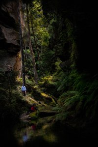 Canyoning in the Blue Mountains has been included in global travel authority Lonely Planet’s 1000 Ultimate Adventures guide. Photo: David Hill, Blue Mountains Lithgow & Oberon Tourism